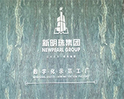 聚焦工业互联网创新发展 持续推动数智转型升级